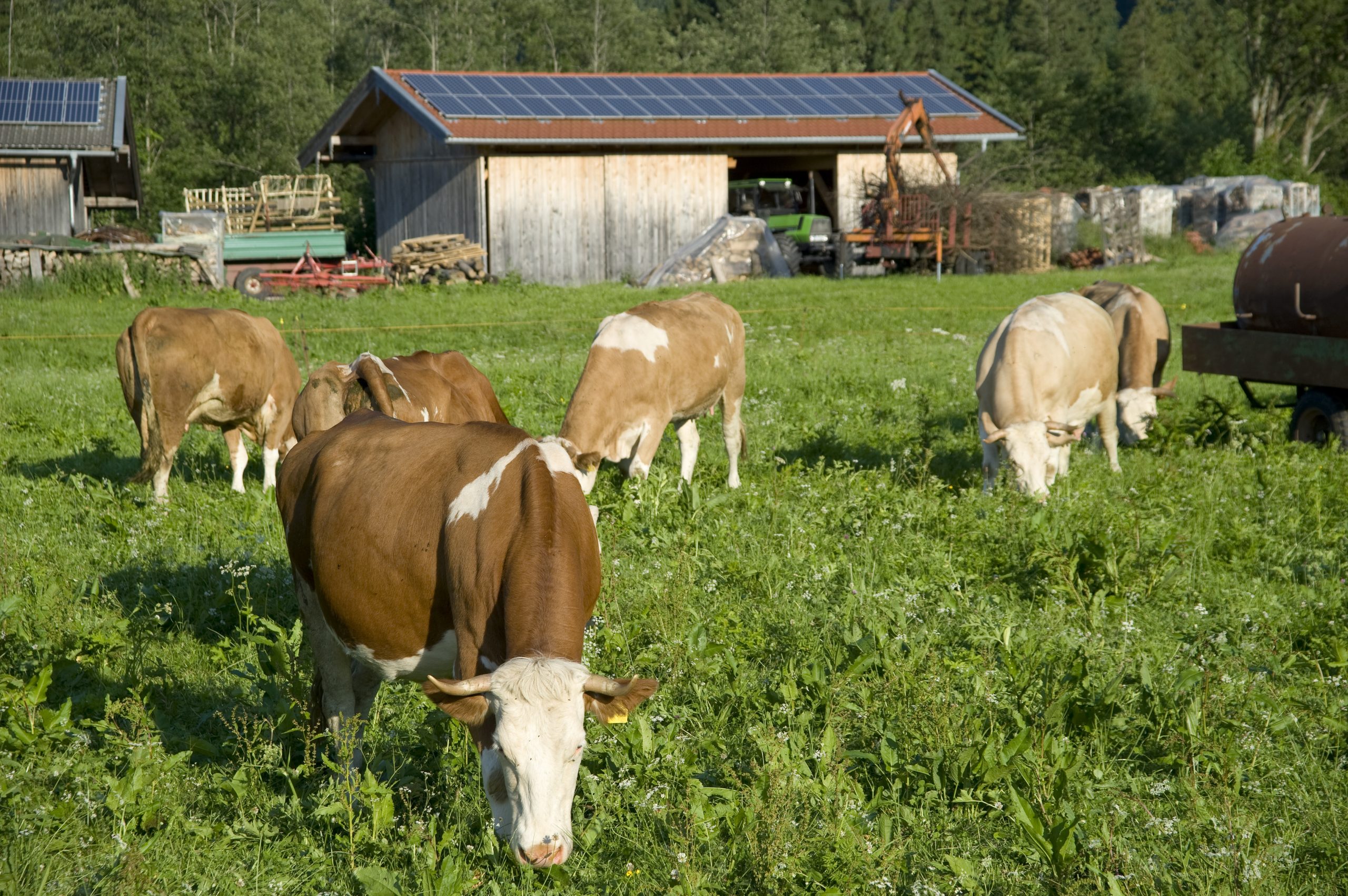 panneau solaire batiment agricole